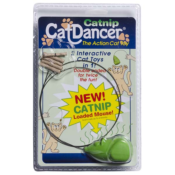 CatNip CatDancer